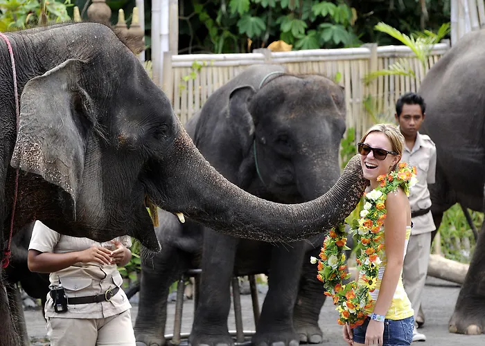 Lodge Mara River Safari Bali