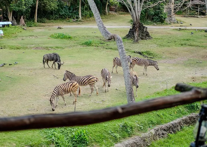 マラ リバー サファリ バリ